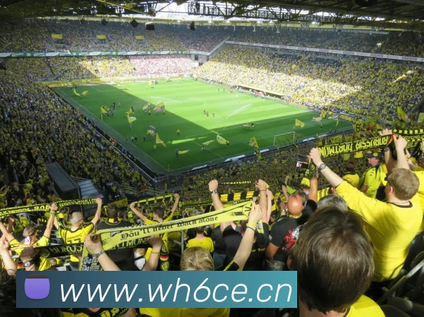 乐鱼官方首页入口发展历程